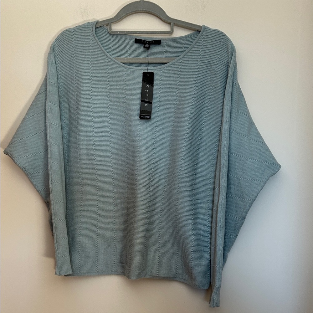 Cyrus super soft pullover mint green dolman sleeve round neck new w/tags size XL